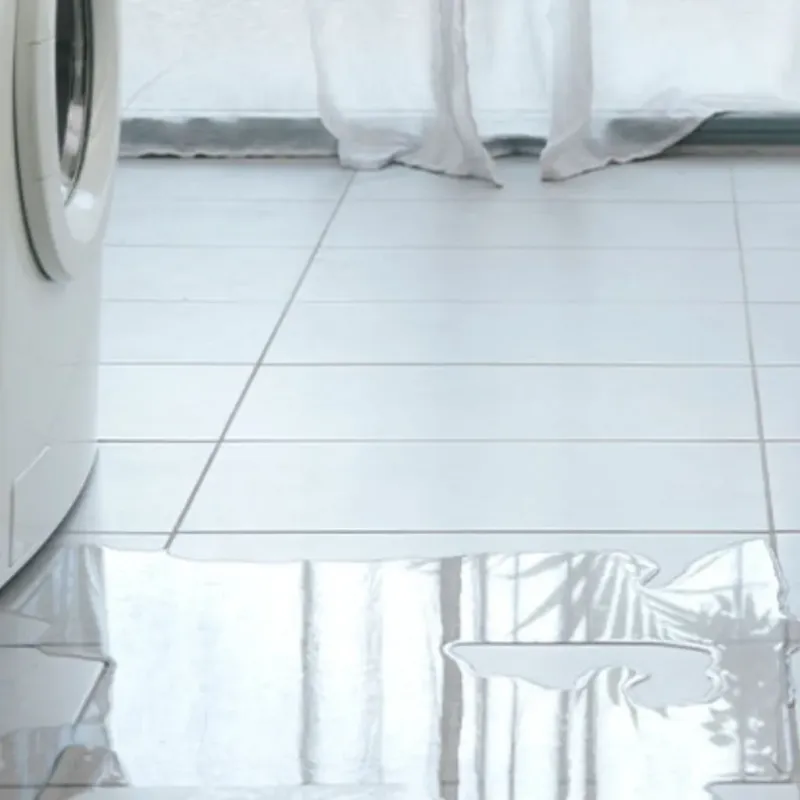 Appliance Leak Cleanup in Oroville, WA