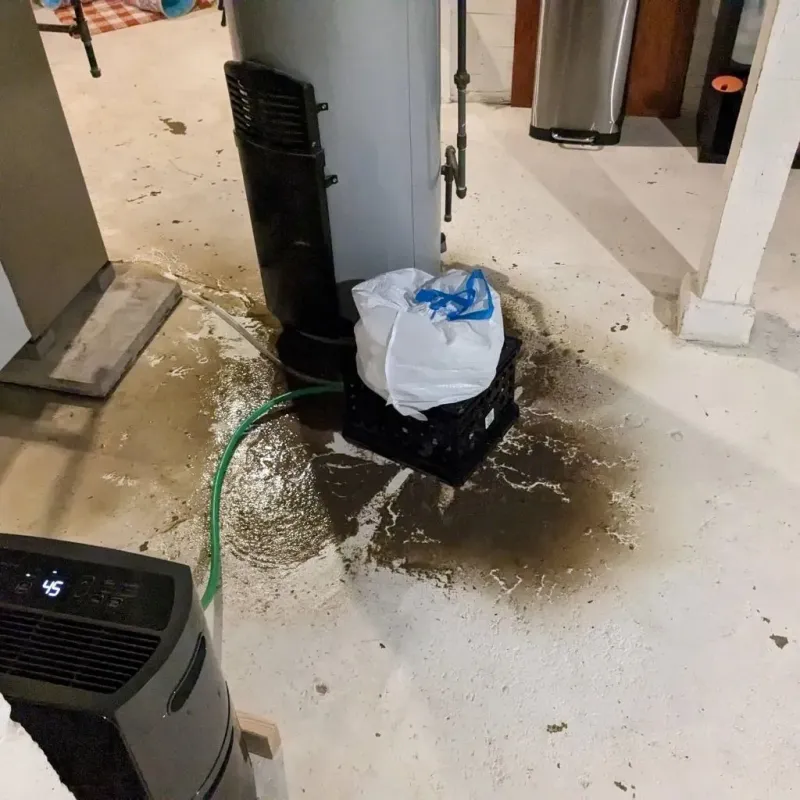 Sewage Backup Cleanup Service in Oroville, WA